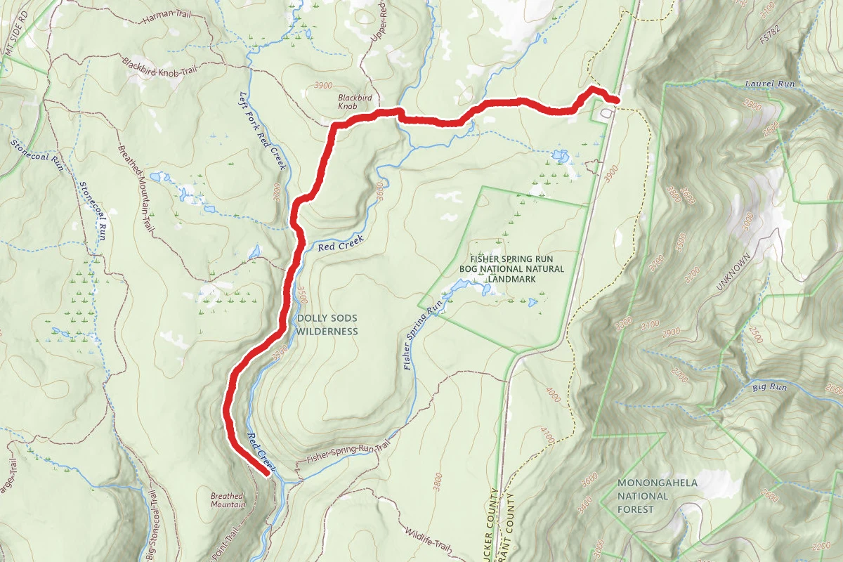 Blackbird Knob Trail to Red Creek Trail