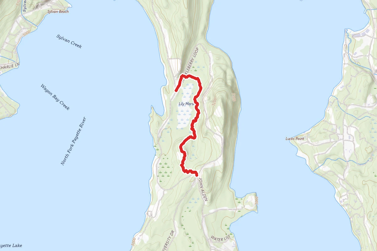 Lily Marsh Trail