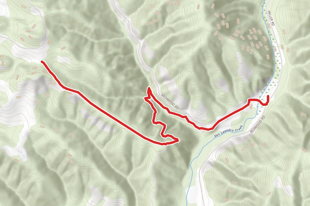 Willow View and Brandon Trail