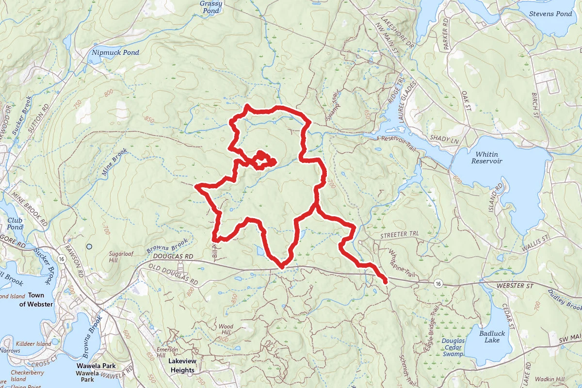 Midstate Trail Alternative Loop
