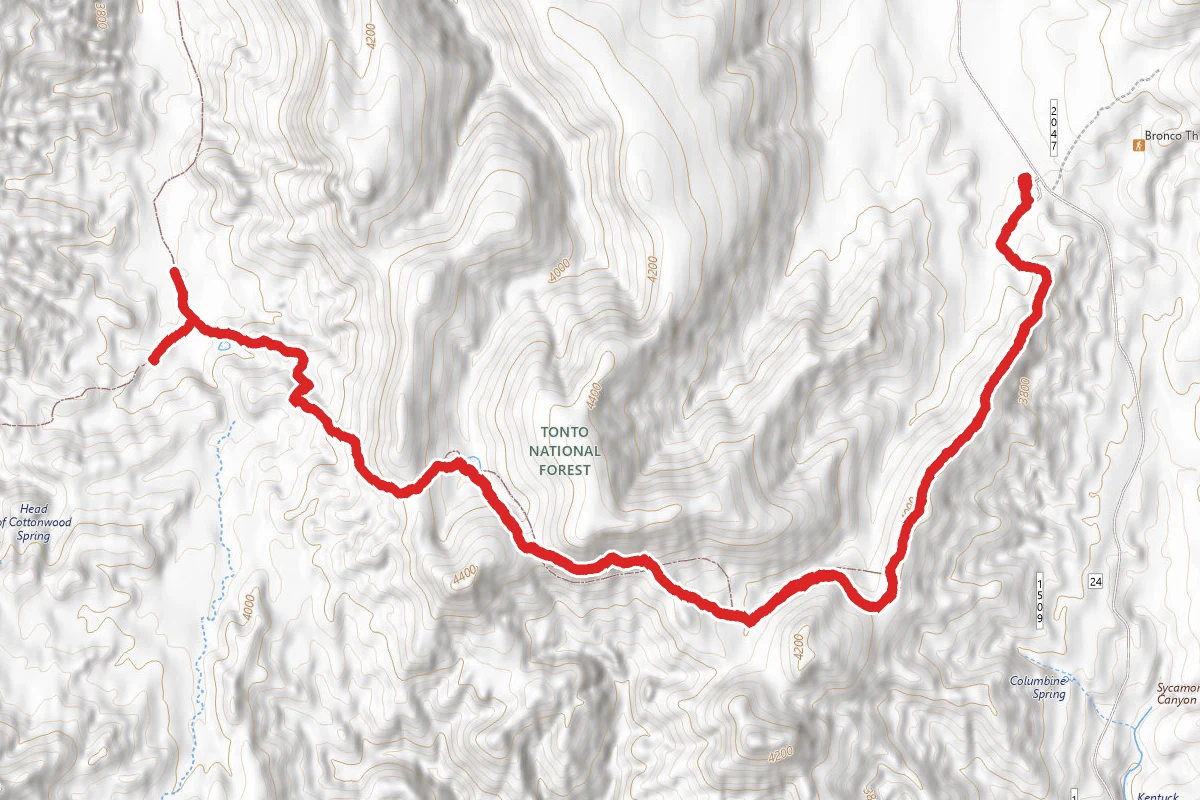 Bronco Trail