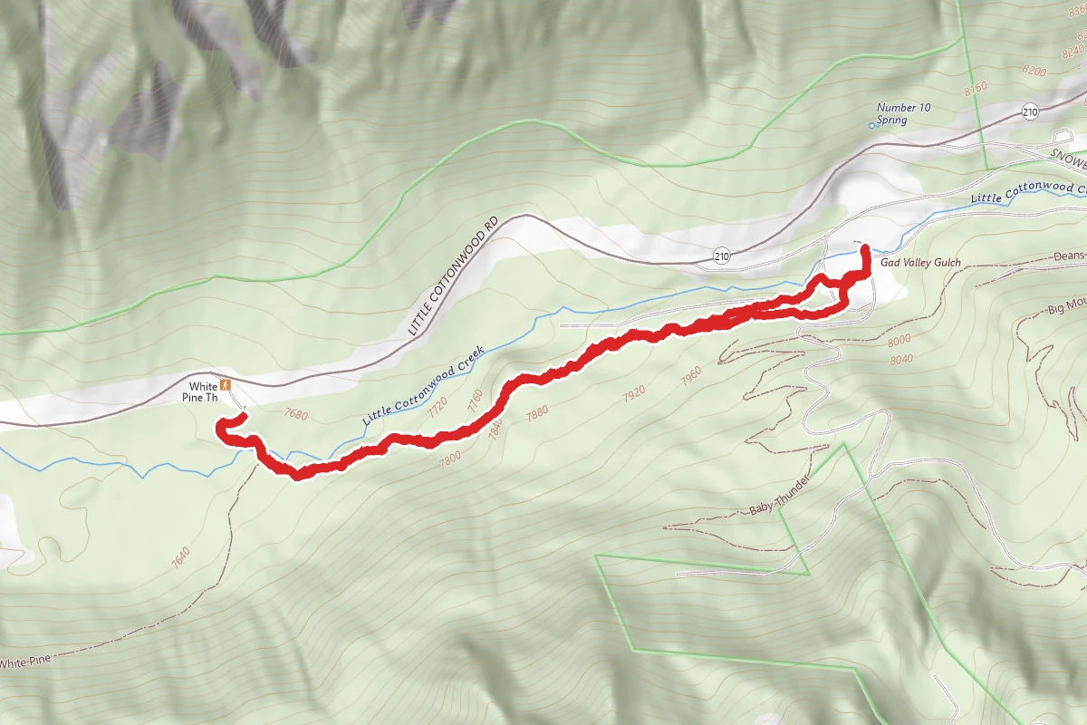 White Pine-Snowbird Connector