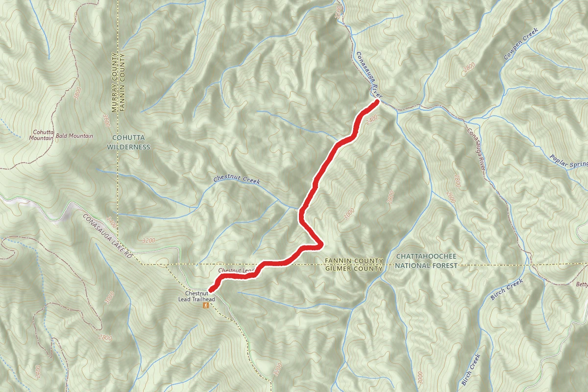 Chestnut Lead Trail