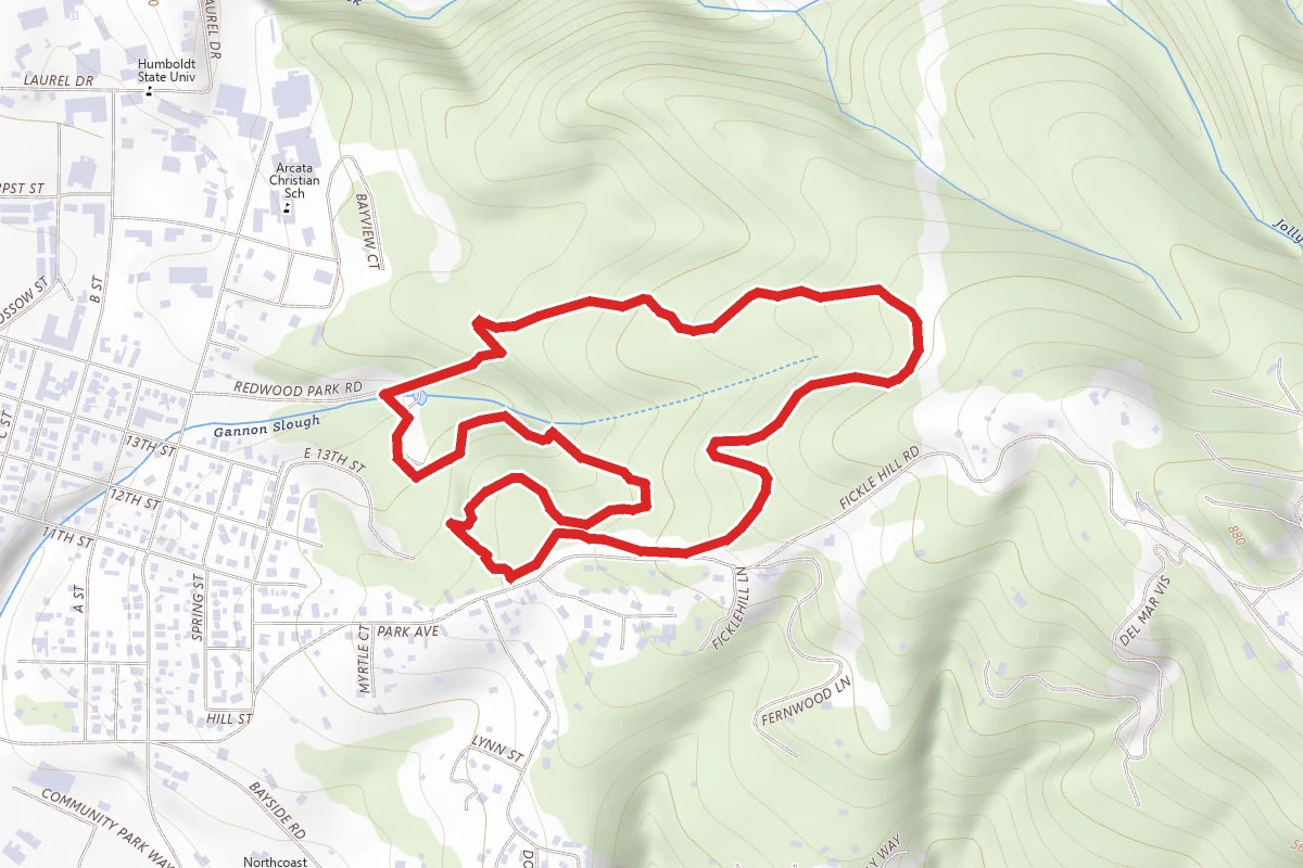 Nature Trail, Fickle Hill Grade, and Meadow Trail Loop