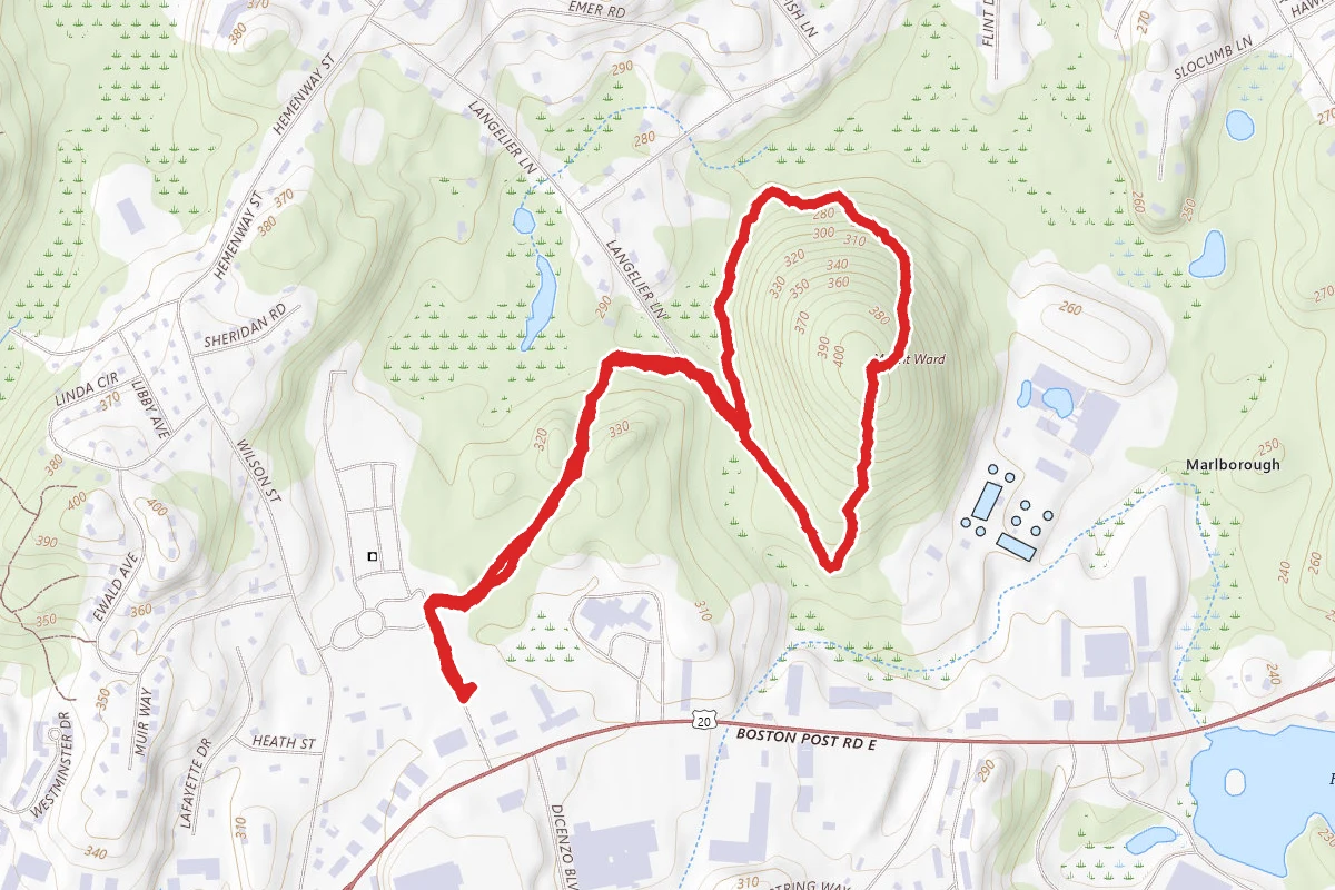 Mount Ward Trail to Summit