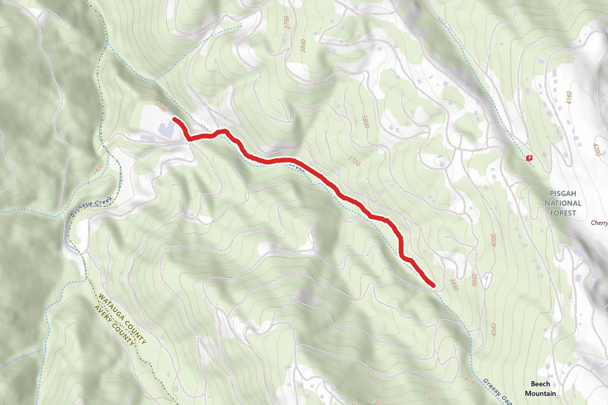 Grassy Gap Trail