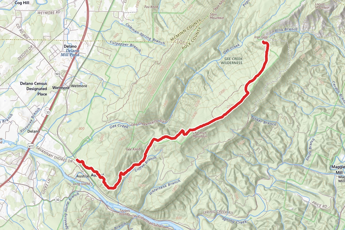 Chestnut Mountain Trail to Iron Gap