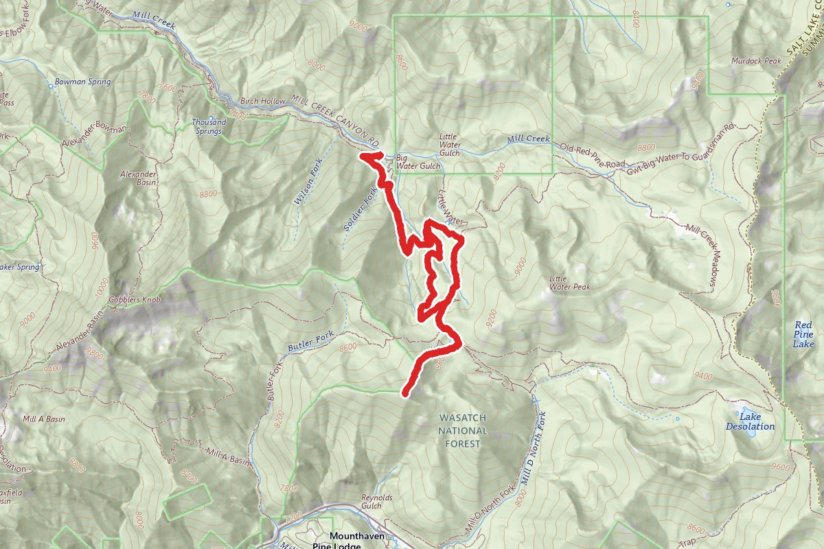 Mount Reynolds Trail