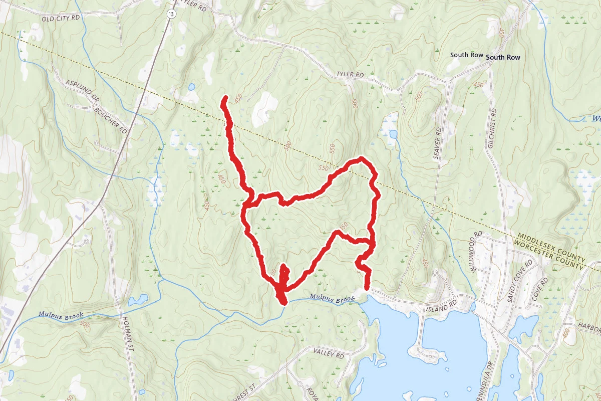 Hickory Hills Blue Trail Yellow Trail Loop