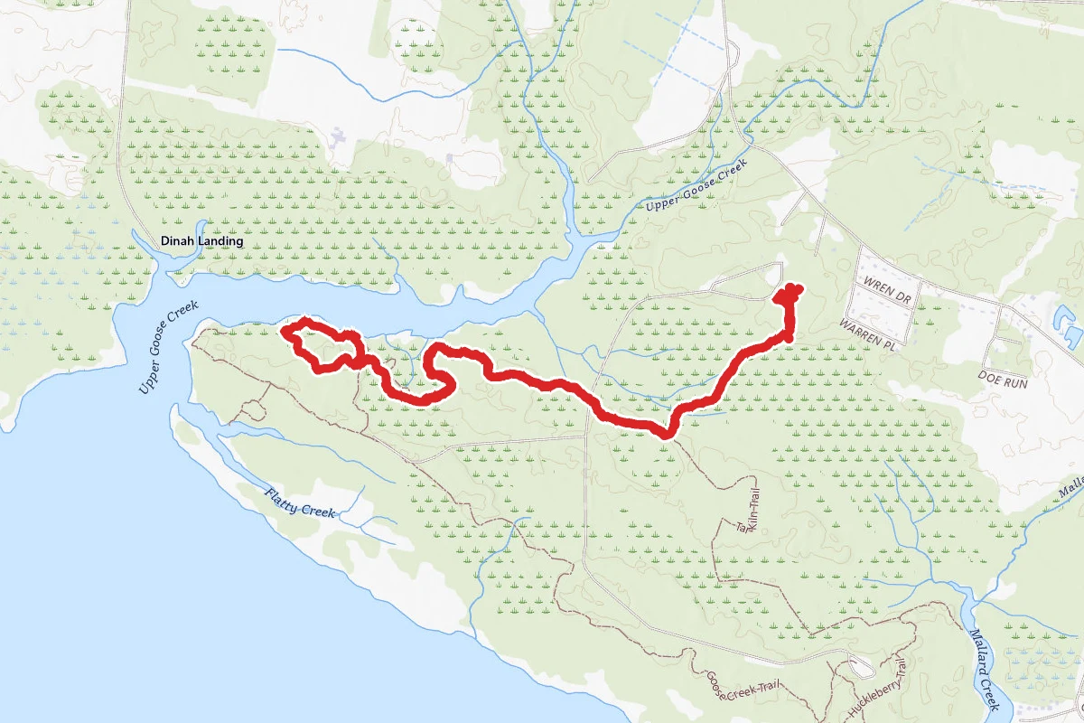 Palmetto Boardwalk and Ivey Gut Trails