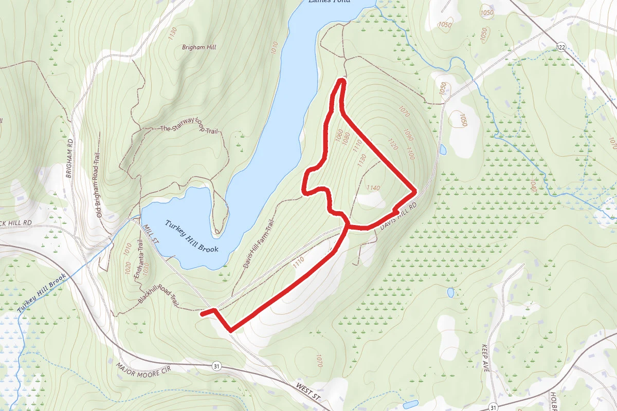 Davis Hill Field Trail and Laurel Hill Loop Trail
