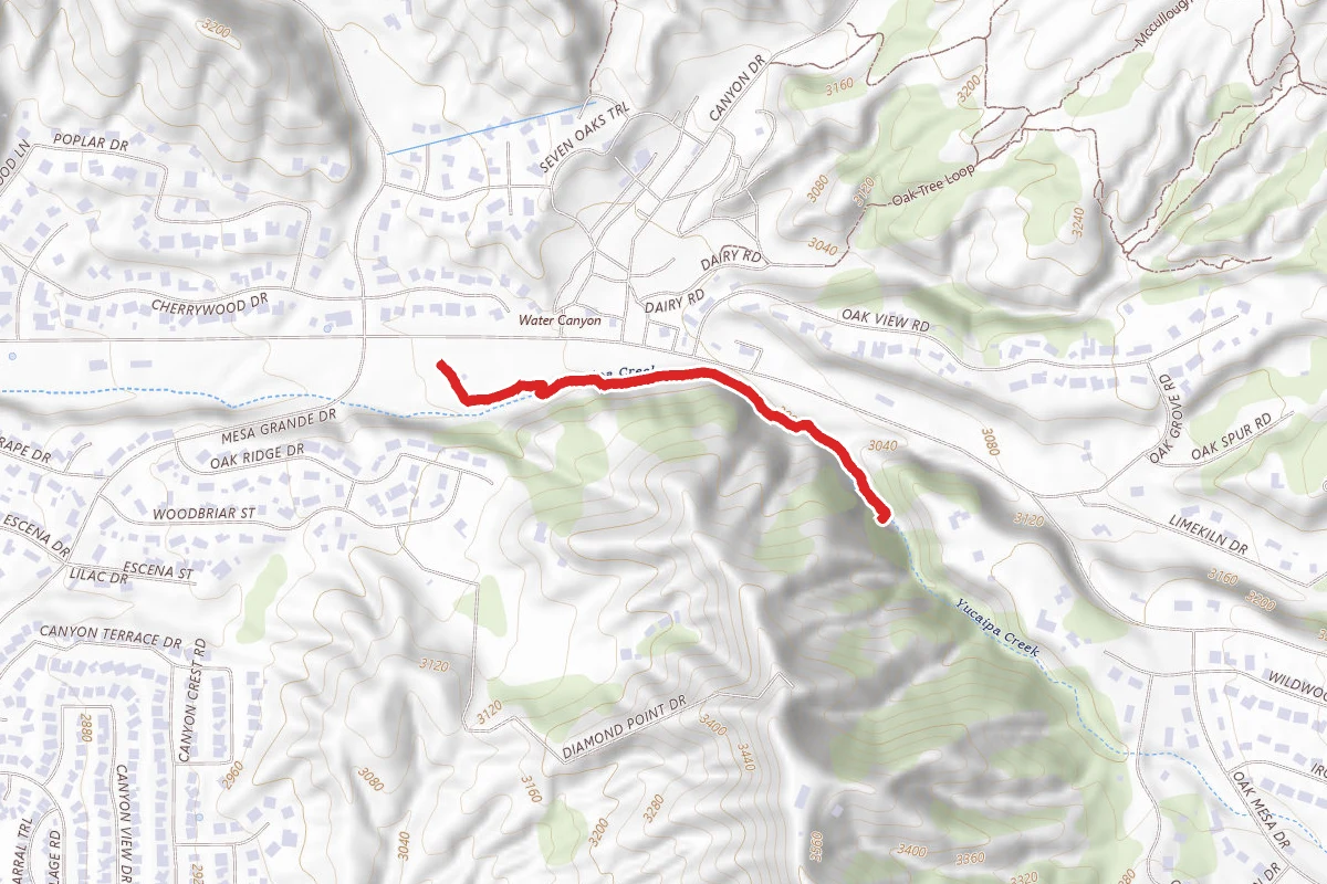 Pisgah Trail