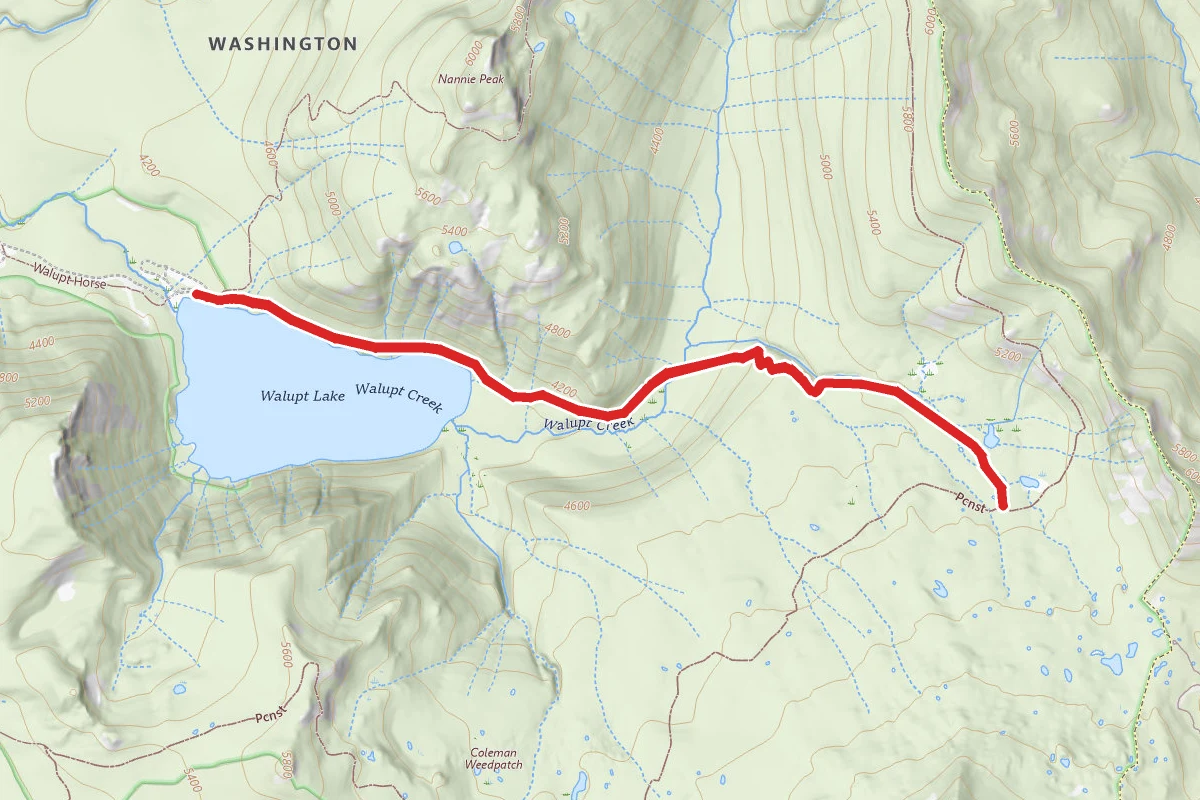 Walupt Lake Trail