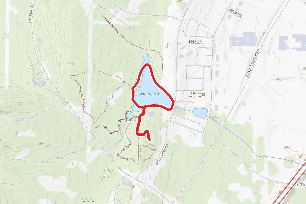 Field and Forest Trail