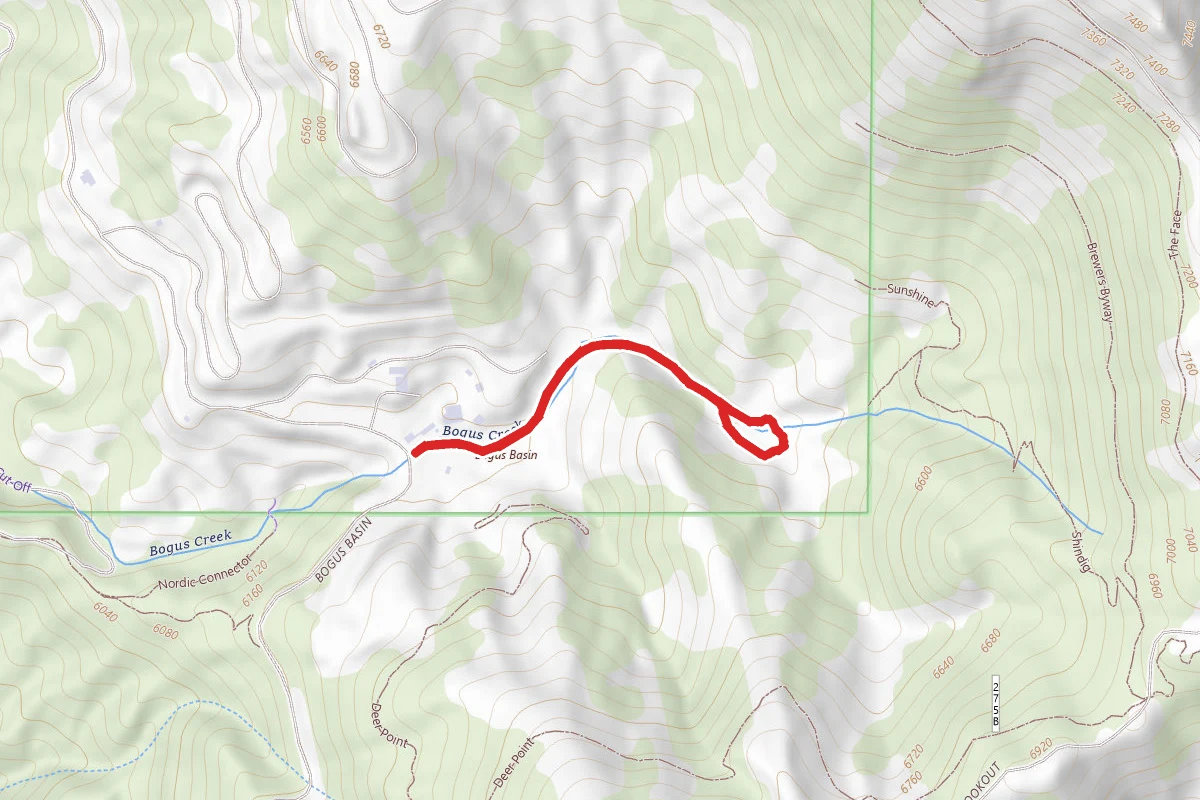 Bogus Creek Trail