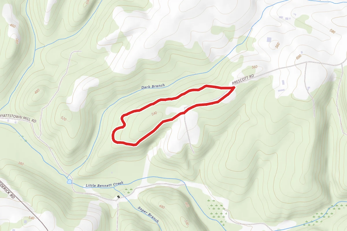 Dark Branch Trail