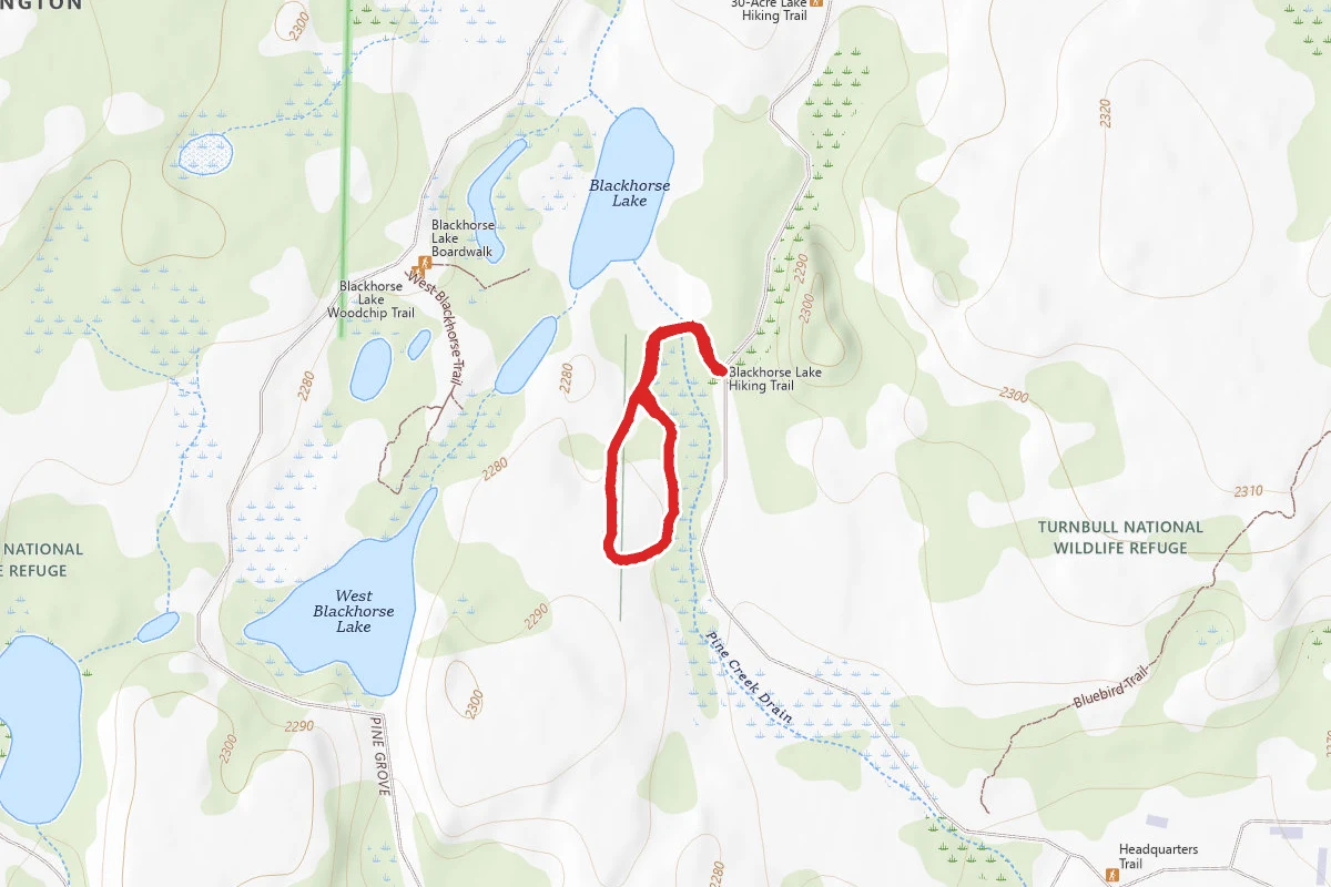 Blackhorse Lake Hiking Trail