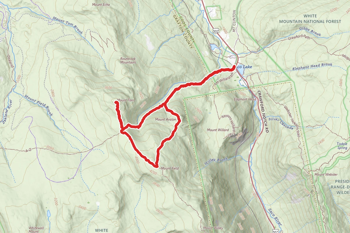 Mount Tom, Avalon, and Field Loop