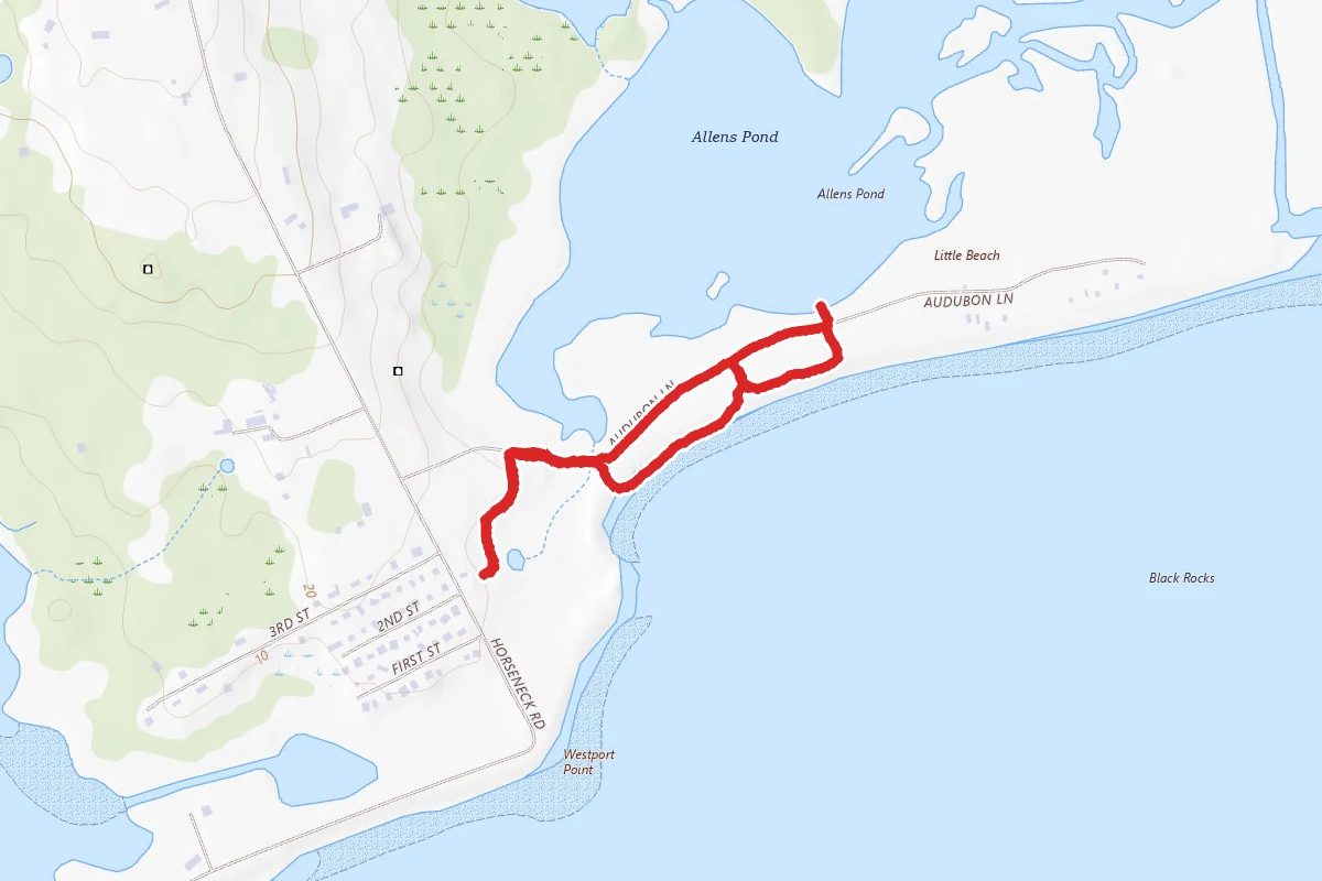 Beach Trail