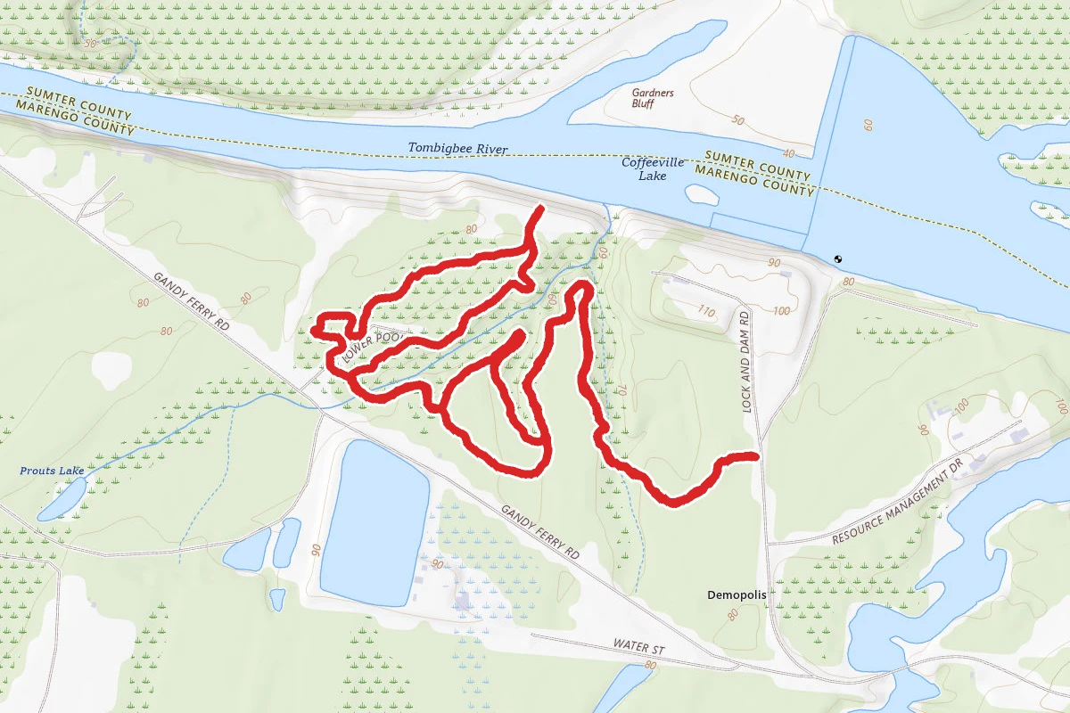 Bigbee Bottom Trail