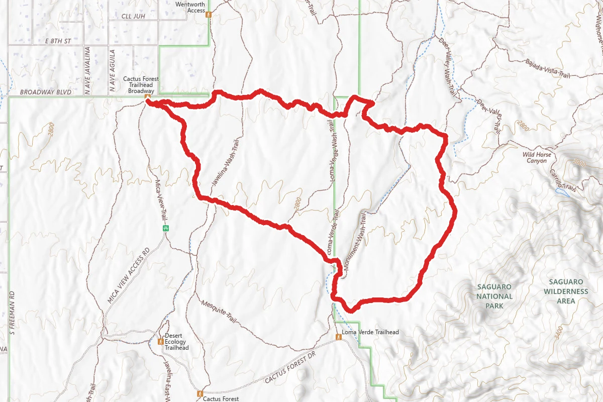 Cactus Forest Trail, Squeeze Pen Trail, and Pink Hill