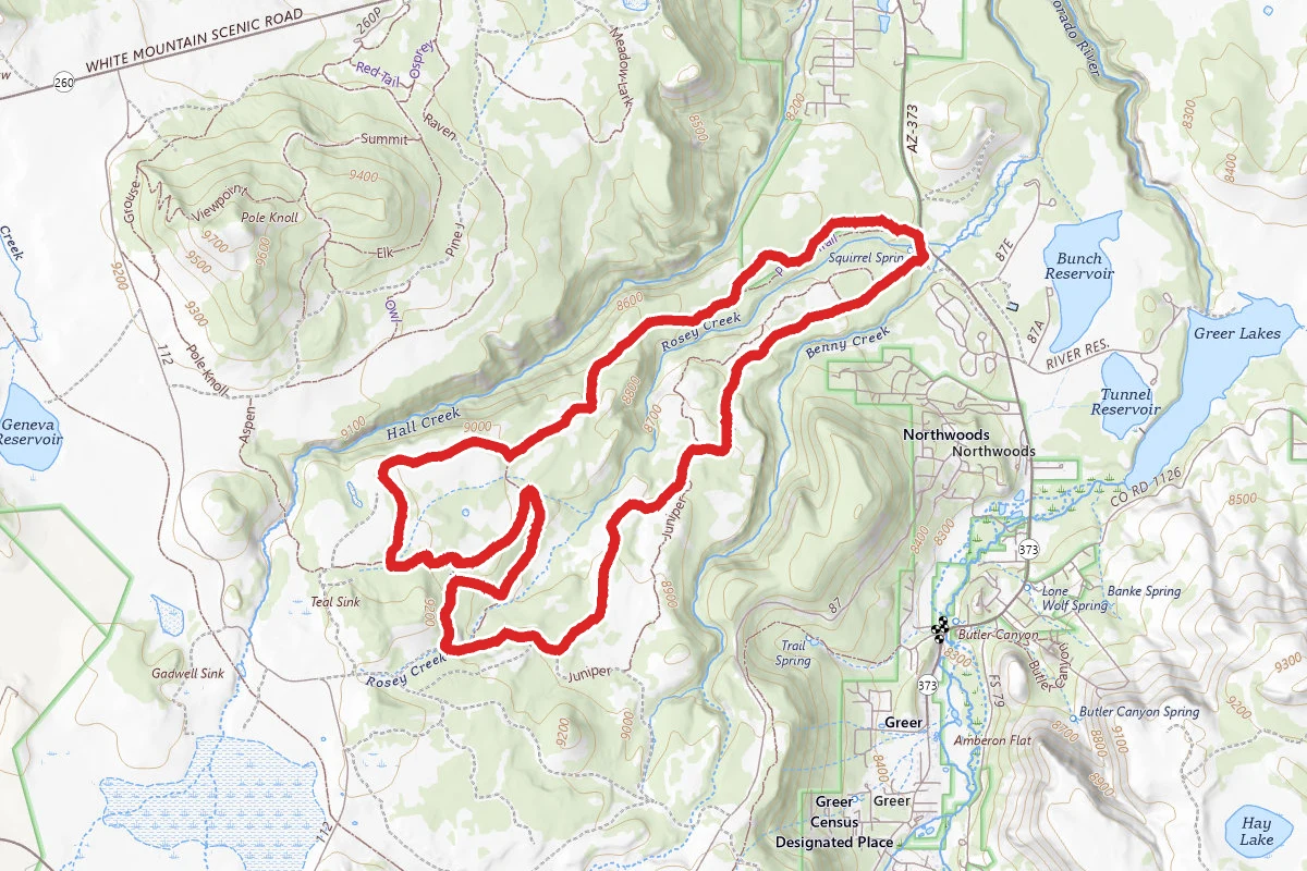 Squirrel Springs Loop