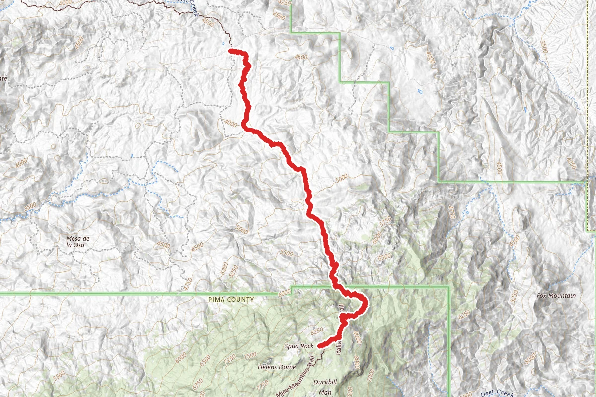 Italian Spring Trail