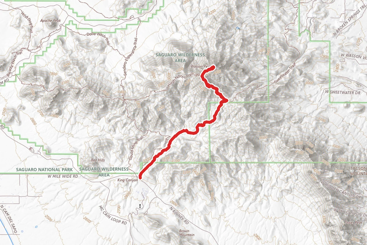 King Canyon Trail to Wasson Peak