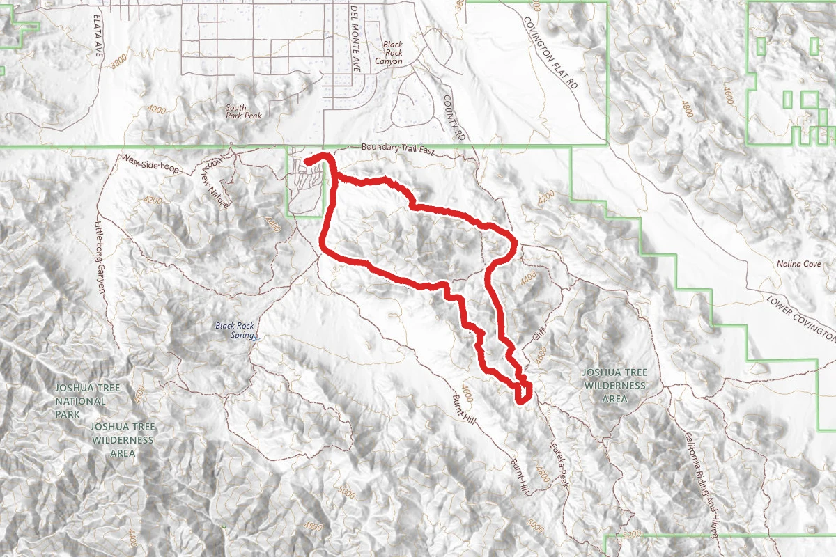 Joshua Tree Short Loop Trail and Canyon View Trail Hike