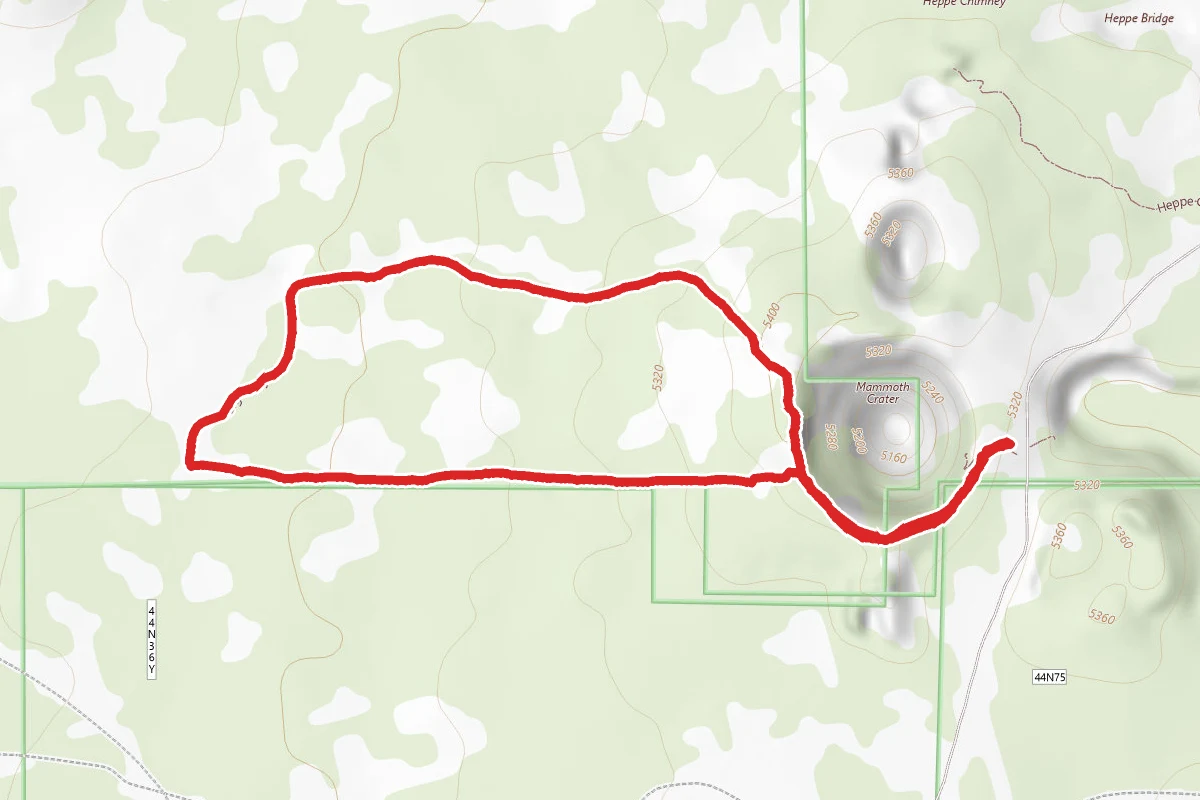 Big Nasty Trail