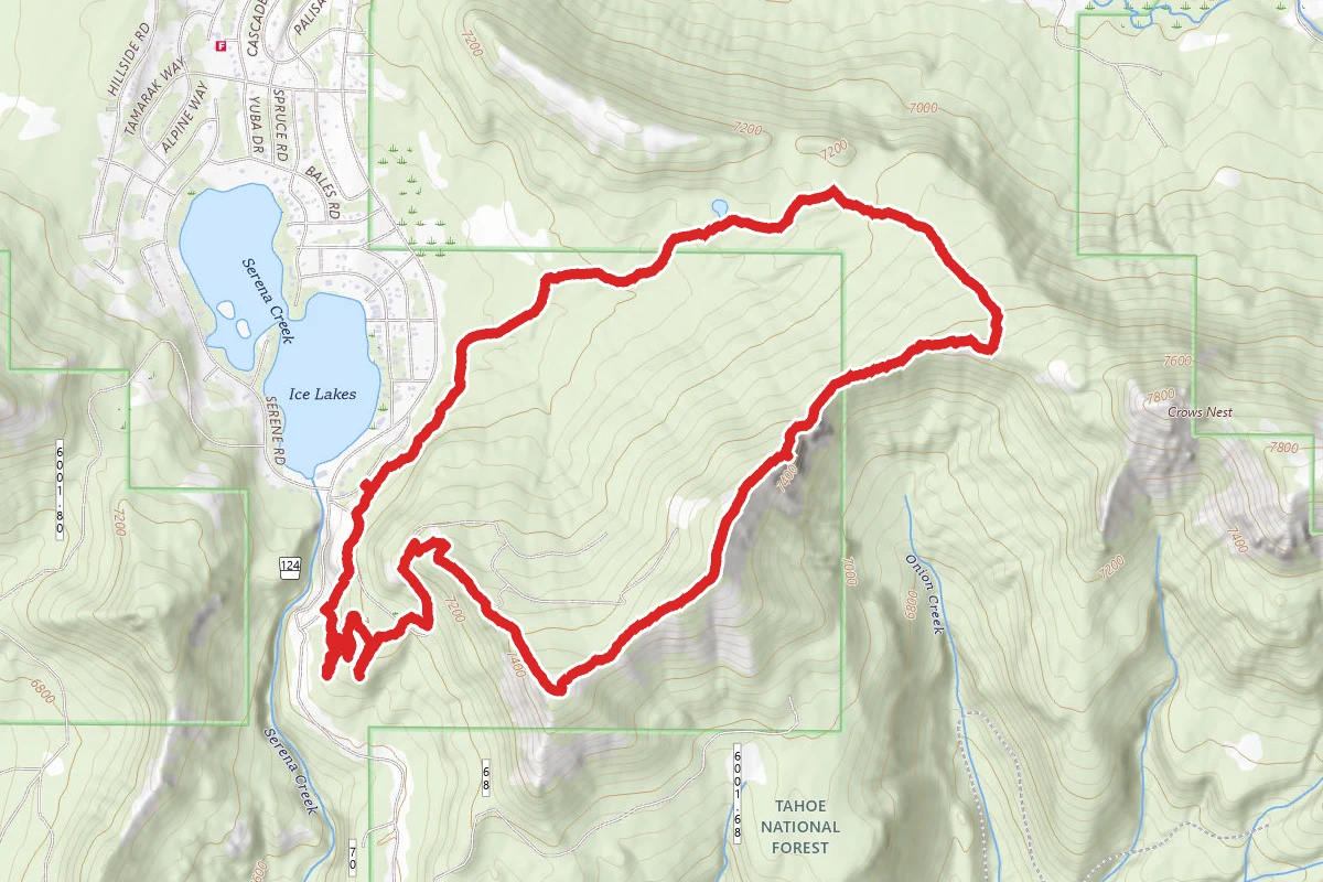 Rowton Peak and Bill and Flora's Point via Claim Jumper, Crow's Nest, Razorback