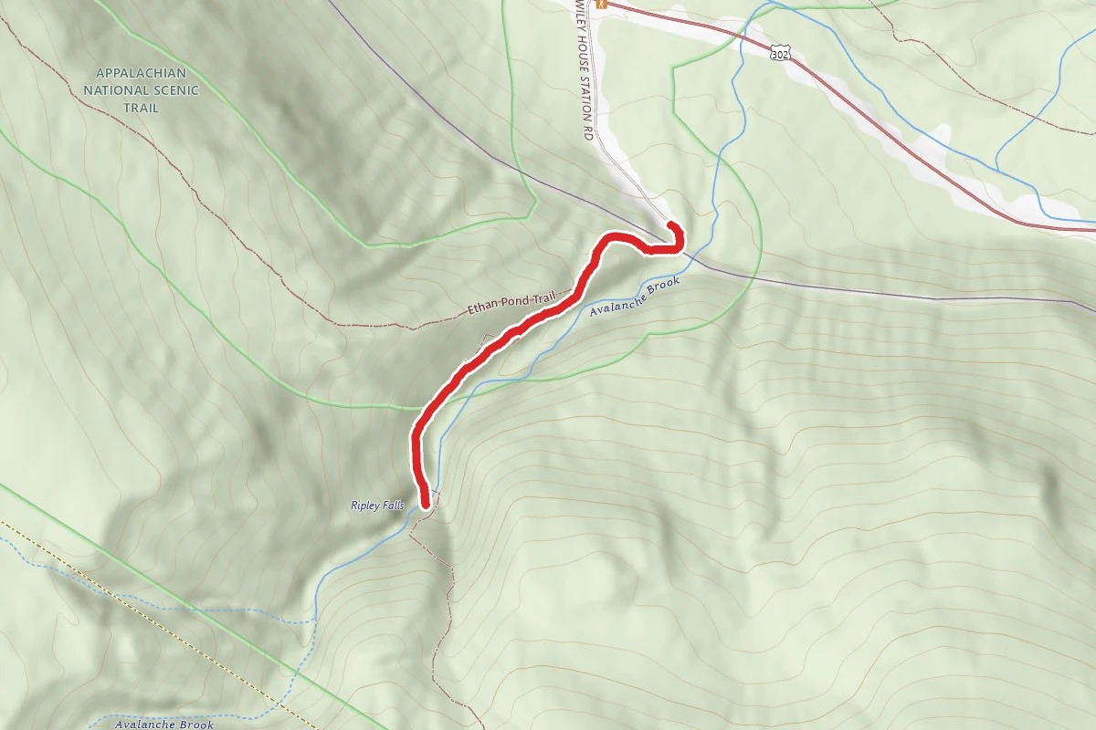Ripley Falls Trail