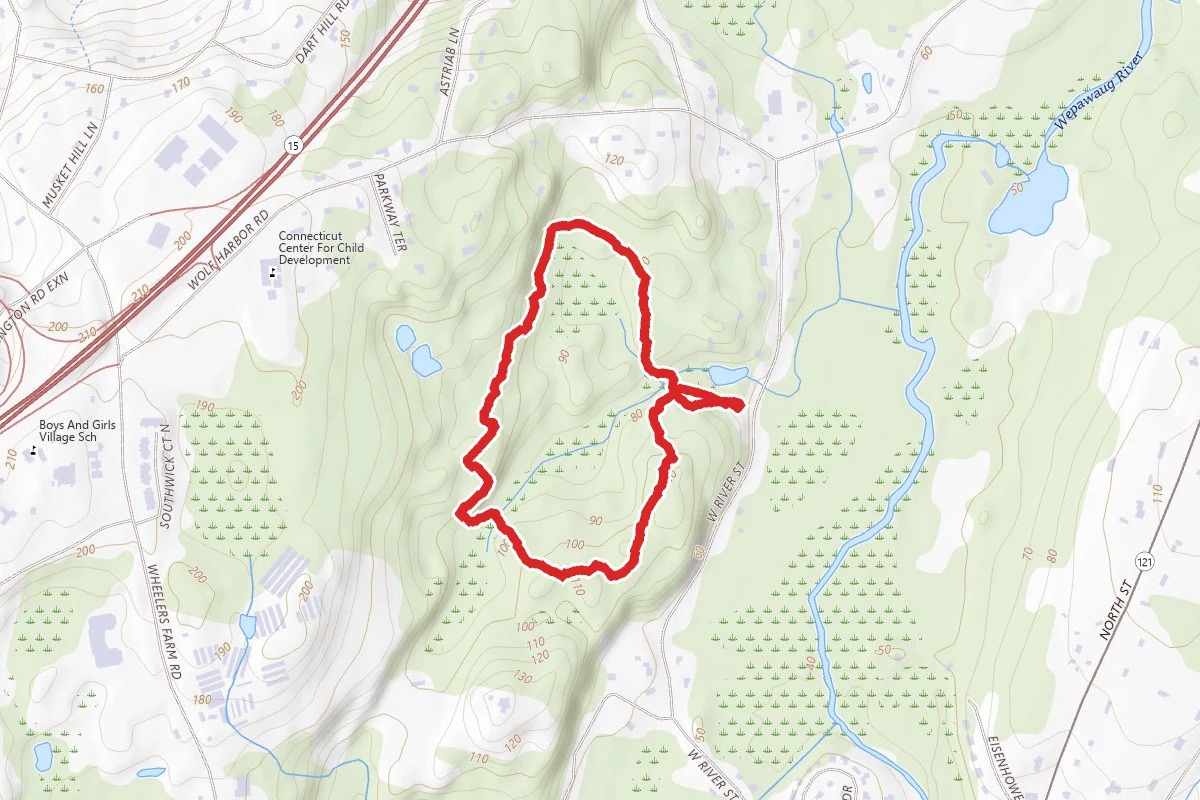 Solomon Woods Blue Trail Loop