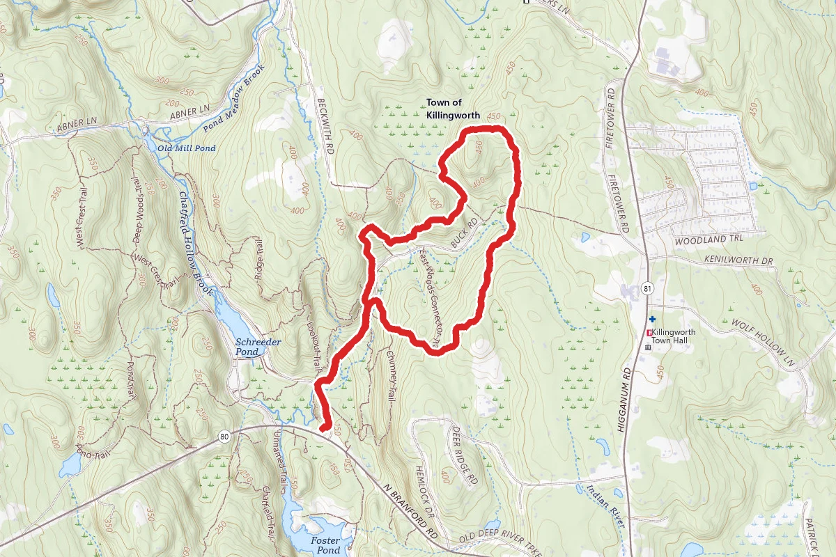 Chatfield Hollow Blue Trail