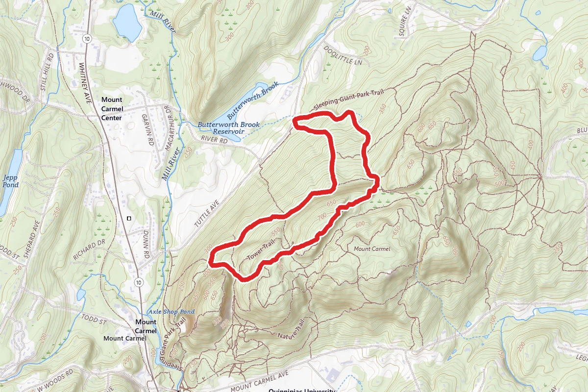 Sleeping Giant Violet Trail, Blue Trail, and Red Circle Trail Loop