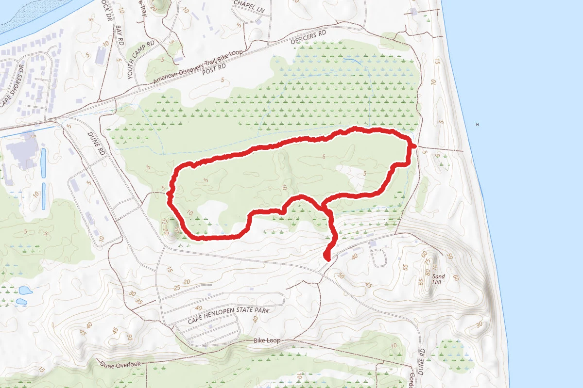 Pinelands Trail Loop