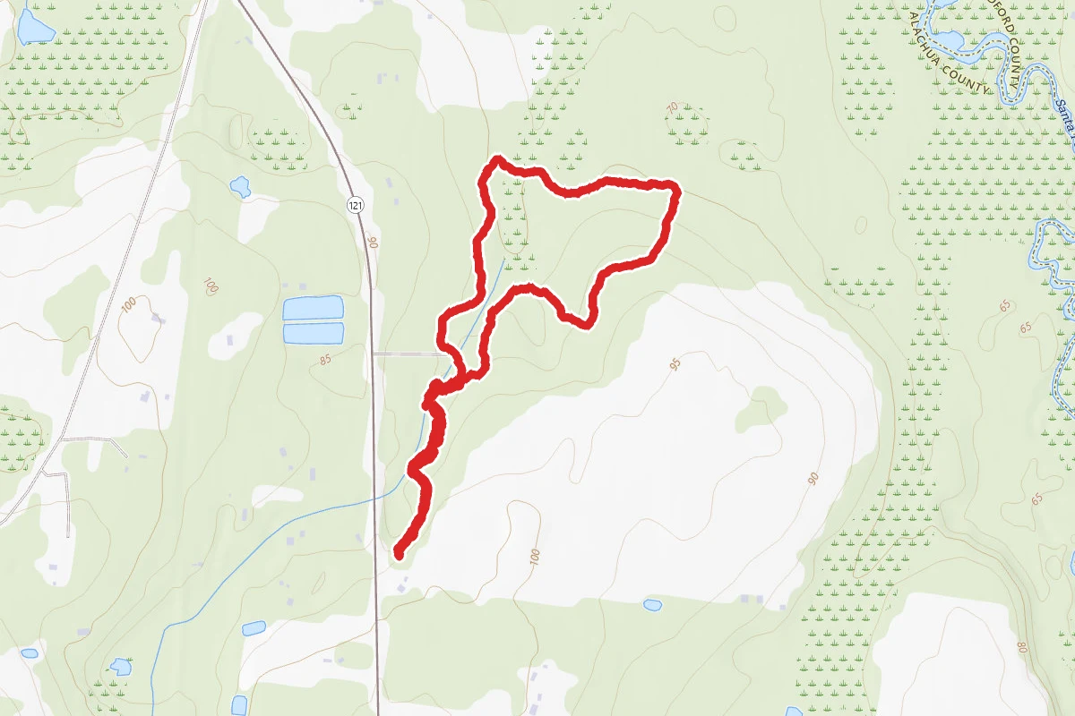 Gracy Trail