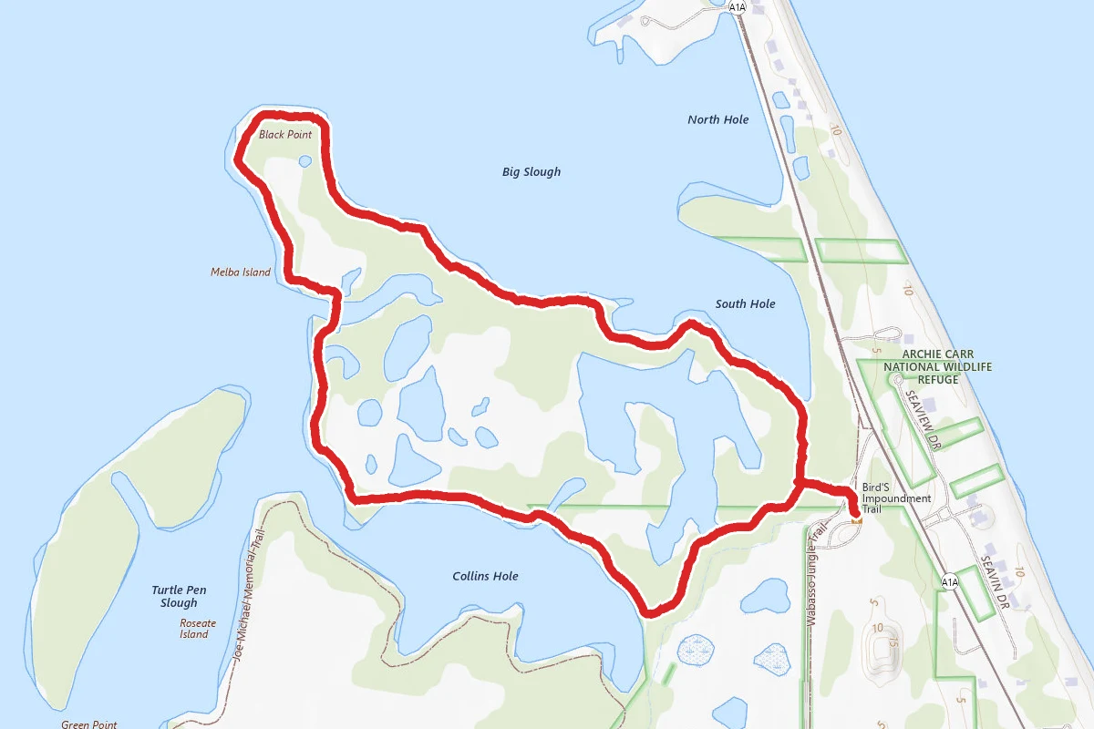 Bird’s Impoundment Trail