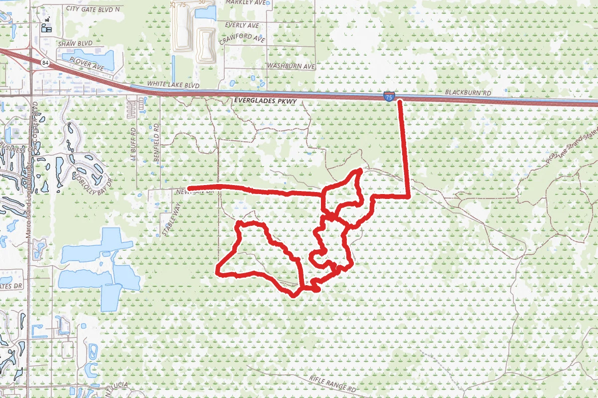 Picayune Strand Forest Yellow Loop