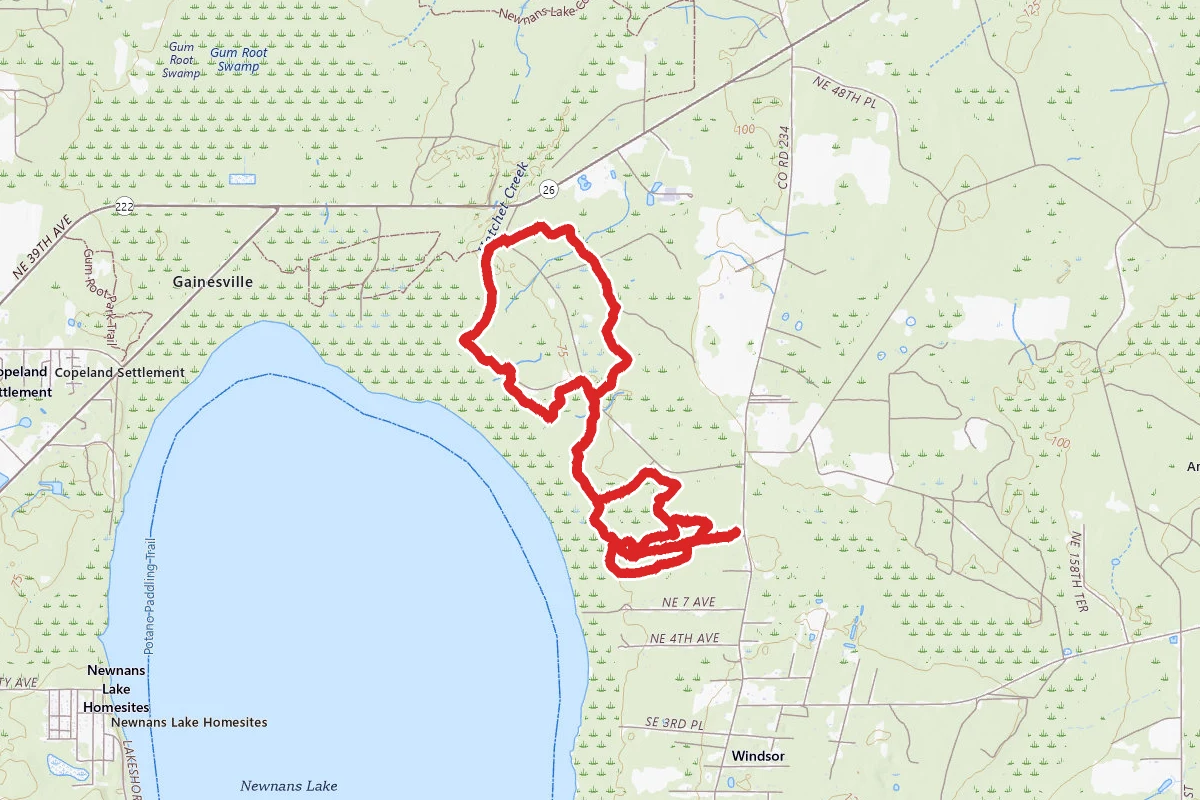 Newnans Lake Loop