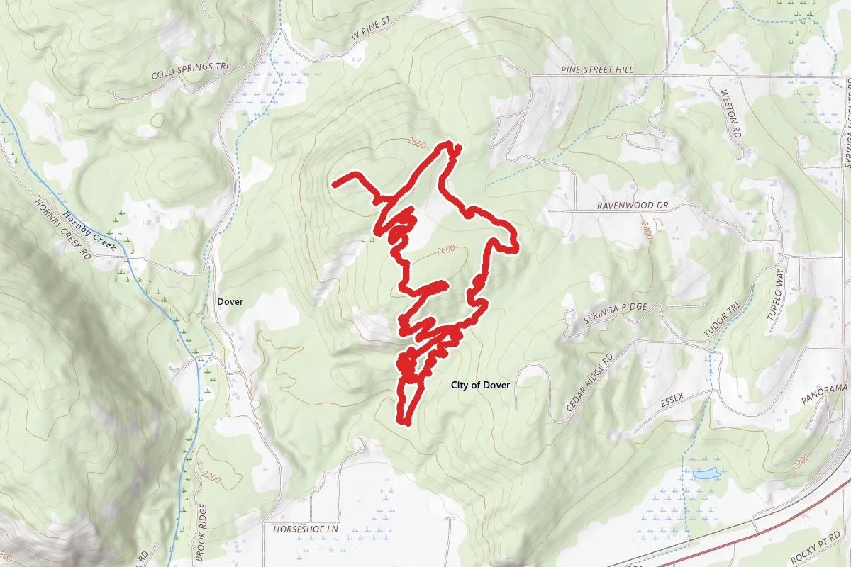 Pine Street Woods, Sherwood Forest, Pipeline Trail, and Bier Bridge Loop