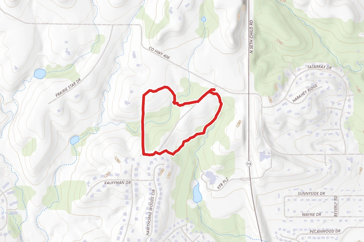 Bison Loop