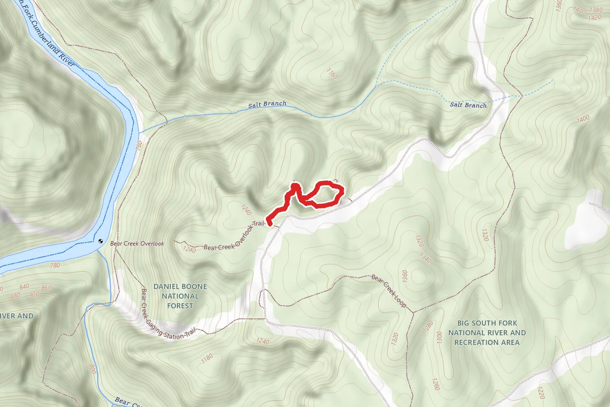 Split Bow Arch Loop