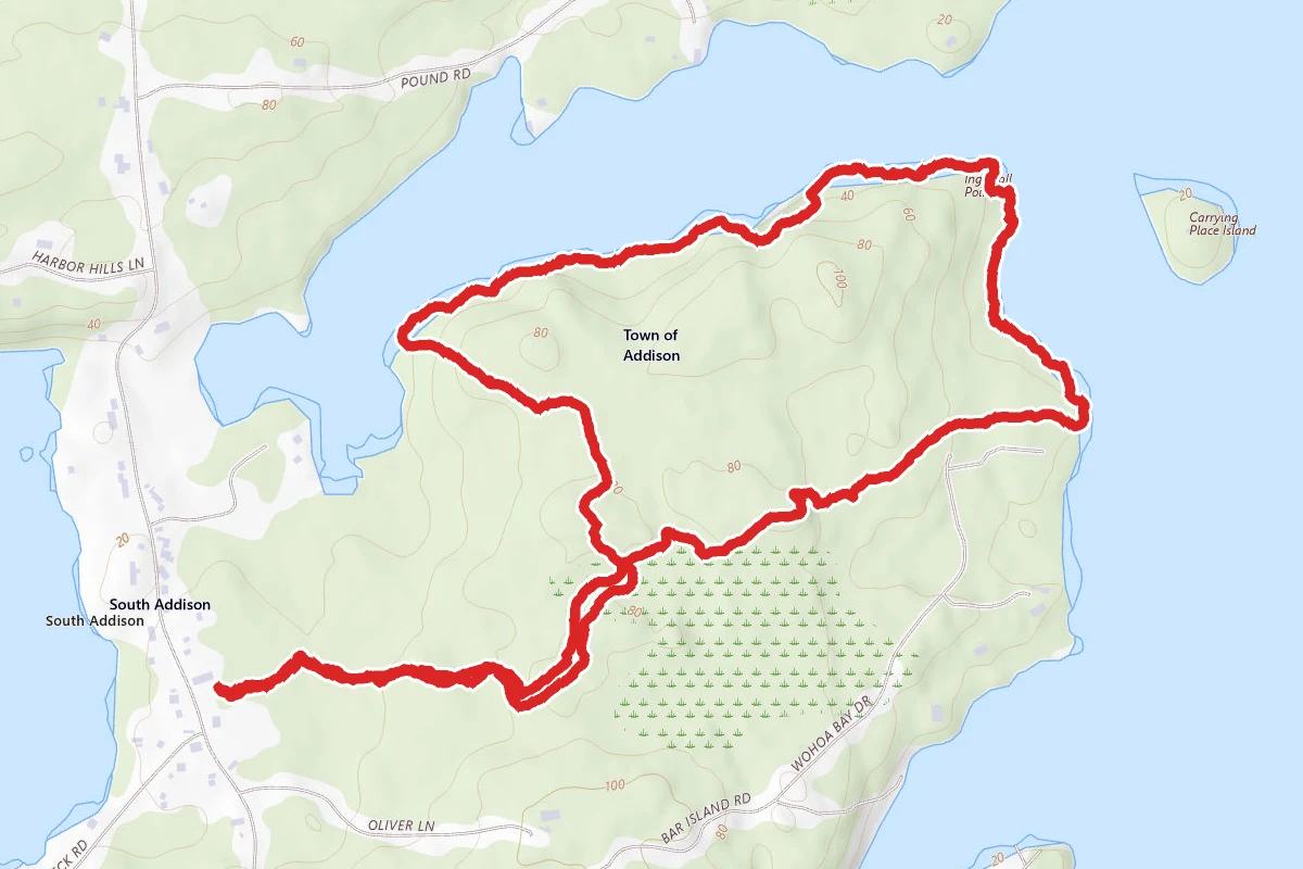 Ingersoll Point Preserve Loop