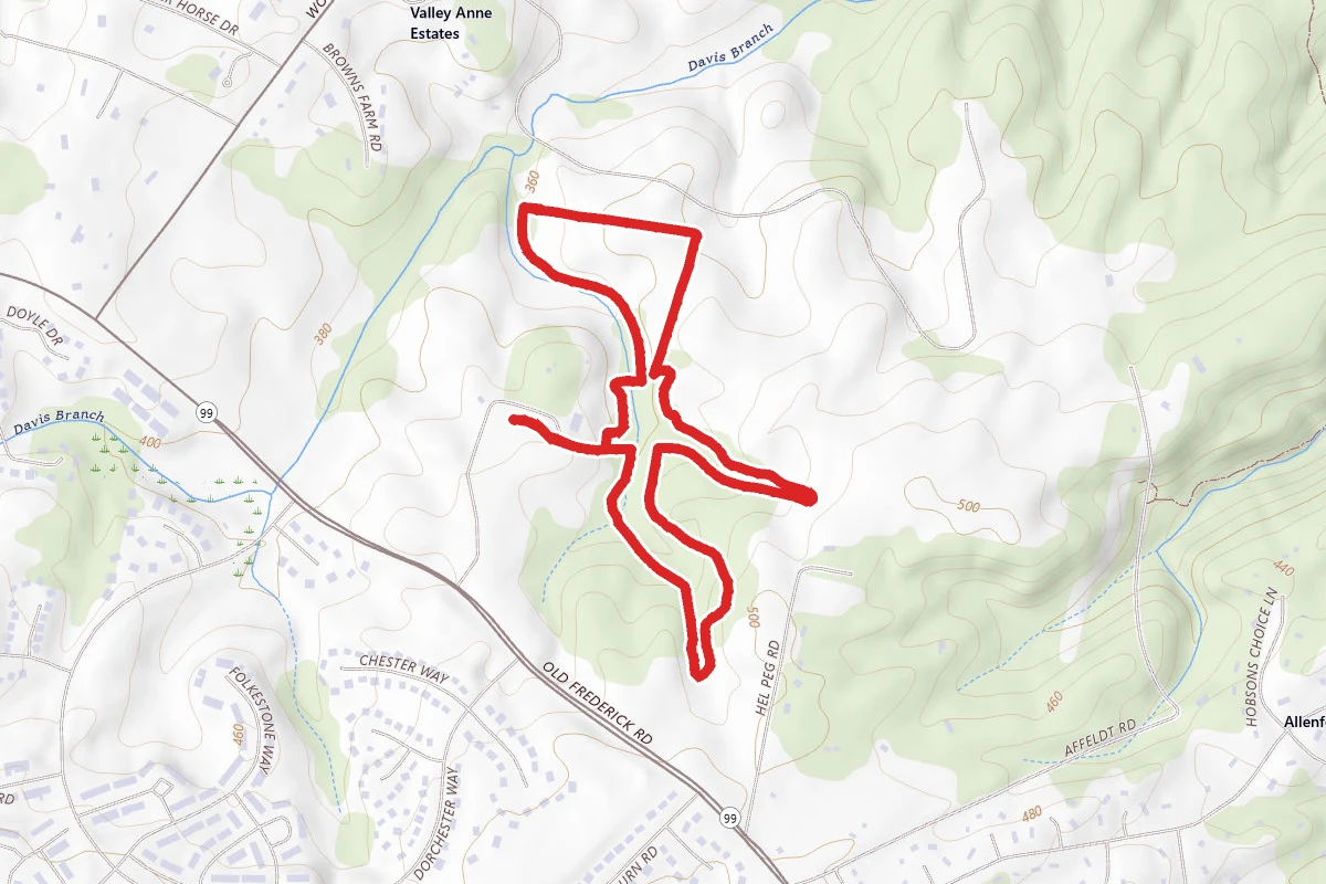 East Branch and Tulip Poplar Trail Loop