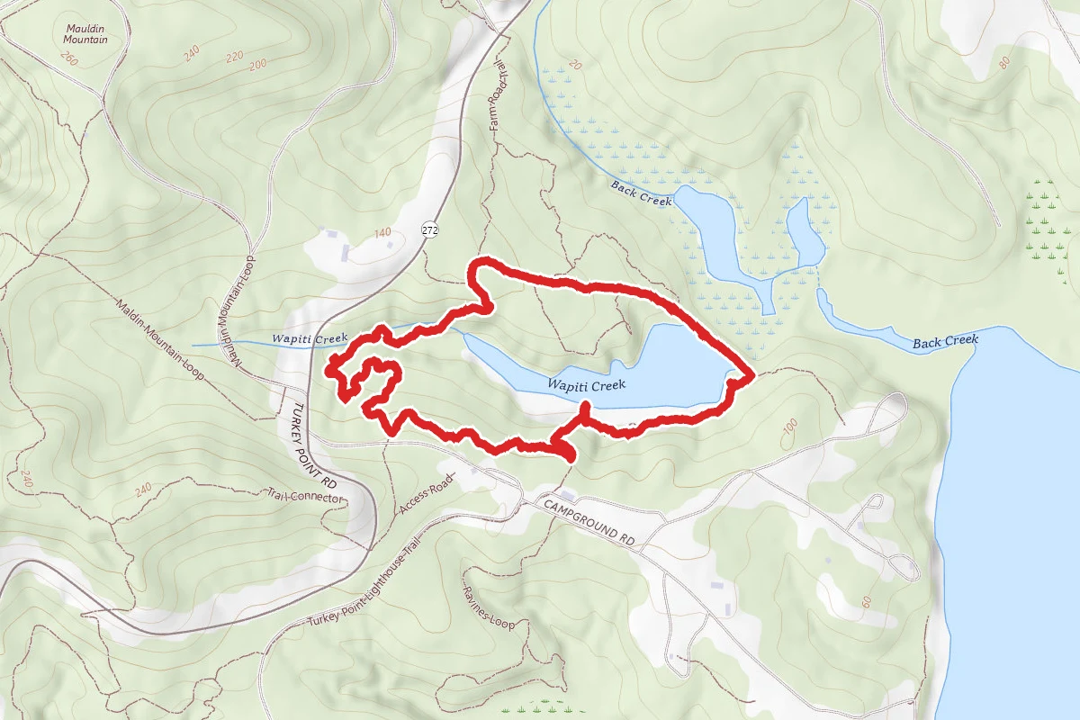Elk Neck State Park - Pond Loop - Green