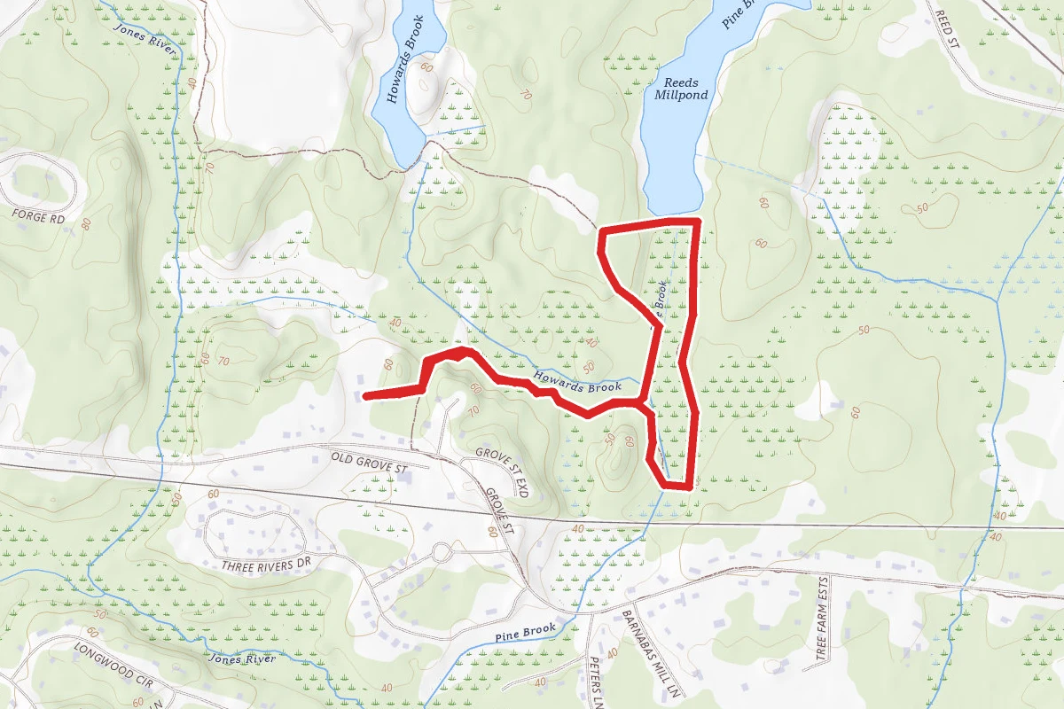 Cranberry Watershed Preserve