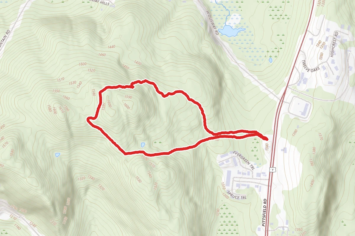 Woolsey and Aspinwall Loop