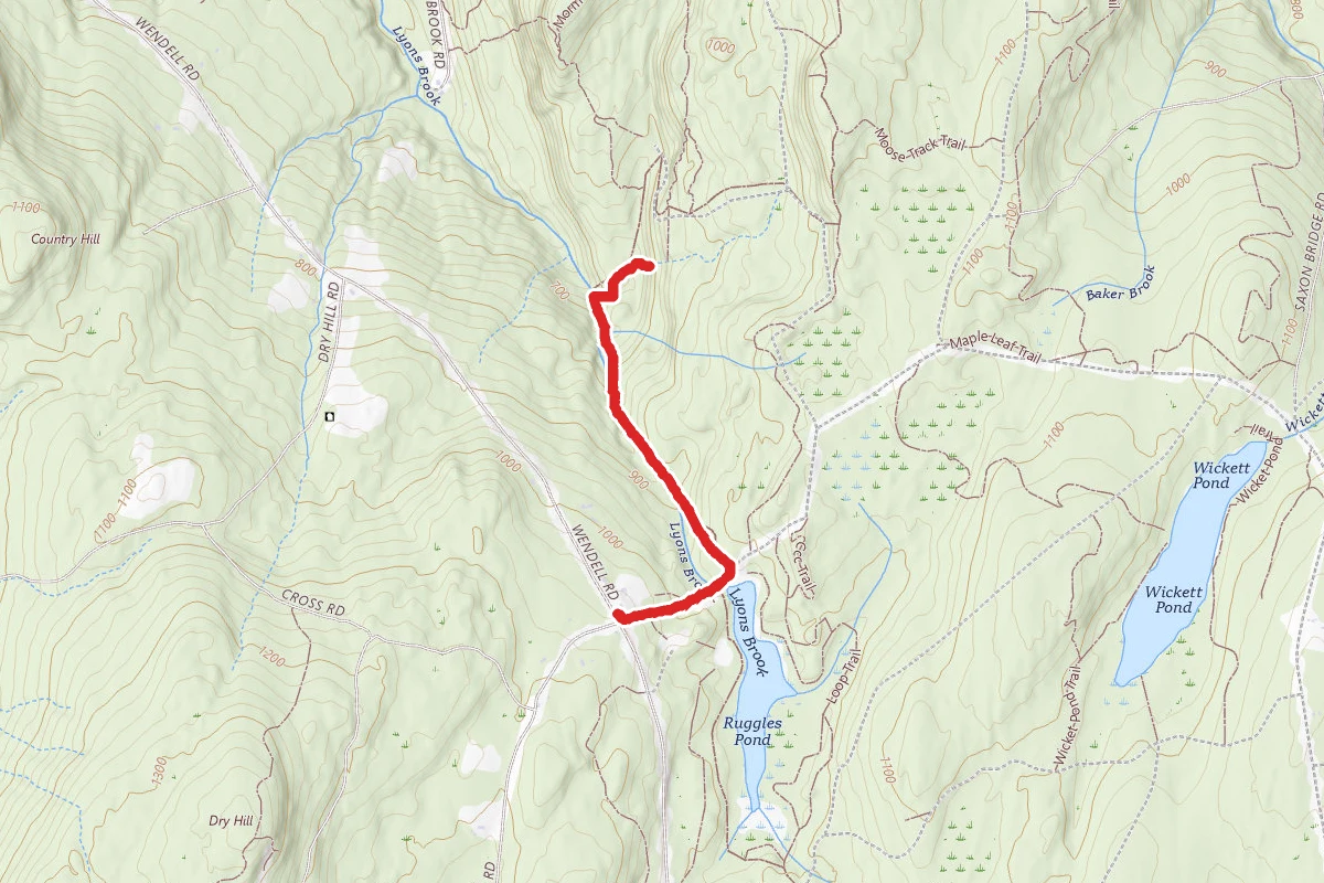 Lynn's Falls Loop