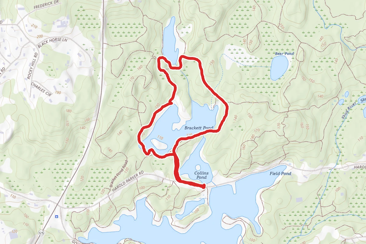Collins Pond, Brackett Pond and Delano Pond